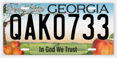 GA license plate QAK0733
