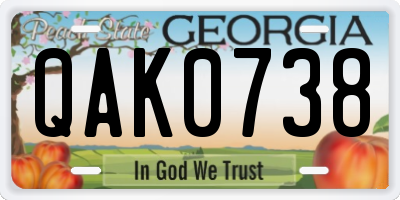 GA license plate QAK0738