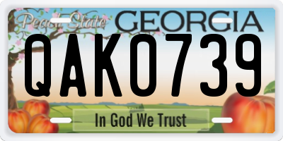 GA license plate QAK0739