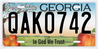 GA license plate QAK0742