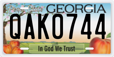 GA license plate QAK0744