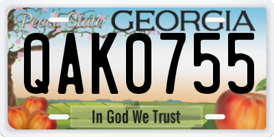 GA license plate QAK0755