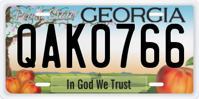 GA license plate QAK0766