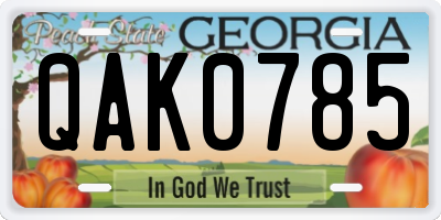GA license plate QAK0785