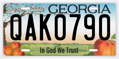 GA license plate QAK0790