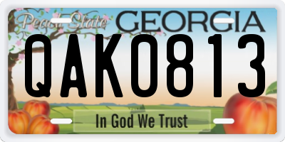 GA license plate QAK0813