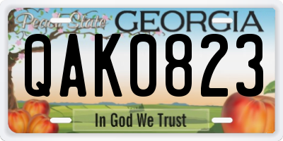 GA license plate QAK0823