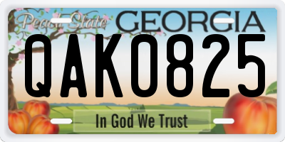 GA license plate QAK0825