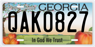 GA license plate QAK0827
