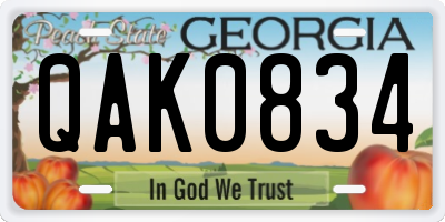GA license plate QAK0834