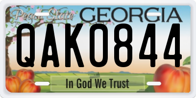 GA license plate QAK0844