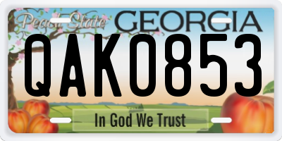 GA license plate QAK0853