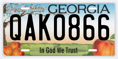 GA license plate QAK0866