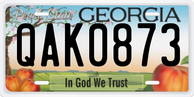 GA license plate QAK0873