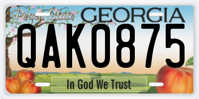 GA license plate QAK0875