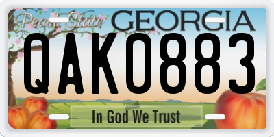 GA license plate QAK0883