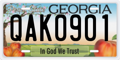 GA license plate QAK0901