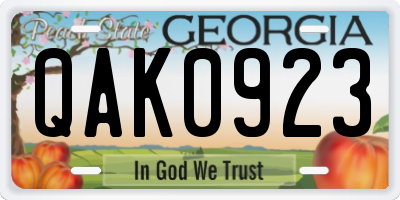GA license plate QAK0923