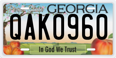 GA license plate QAK0960