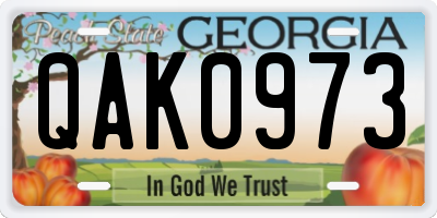 GA license plate QAK0973