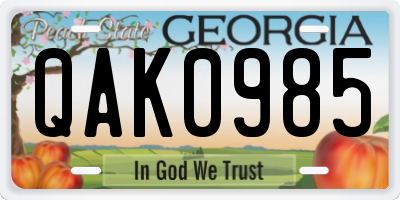 GA license plate QAK0985