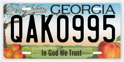 GA license plate QAK0995