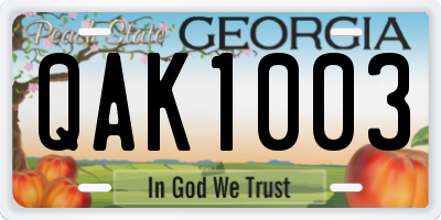 GA license plate QAK1003