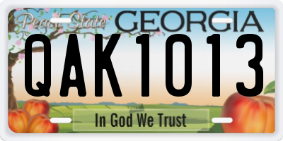 GA license plate QAK1013