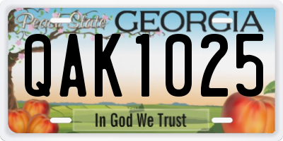 GA license plate QAK1025