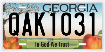GA license plate QAK1031