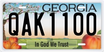 GA license plate QAK1100