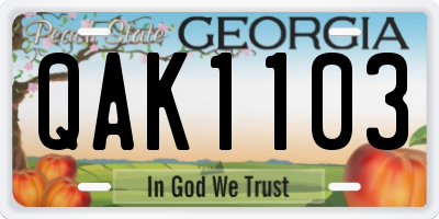GA license plate QAK1103