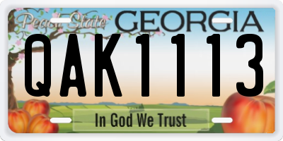 GA license plate QAK1113