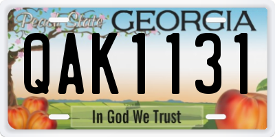 GA license plate QAK1131