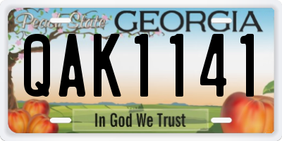 GA license plate QAK1141