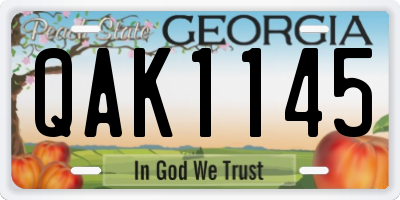 GA license plate QAK1145