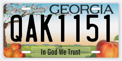 GA license plate QAK1151