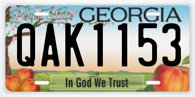 GA license plate QAK1153