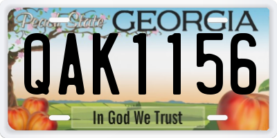 GA license plate QAK1156