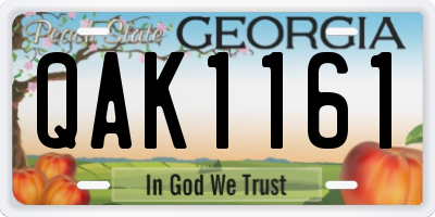 GA license plate QAK1161