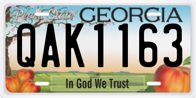GA license plate QAK1163