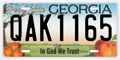 GA license plate QAK1165