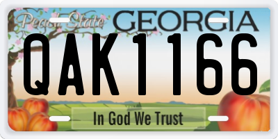 GA license plate QAK1166