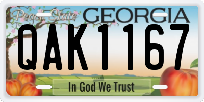 GA license plate QAK1167