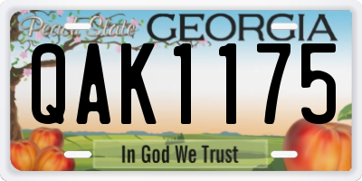 GA license plate QAK1175