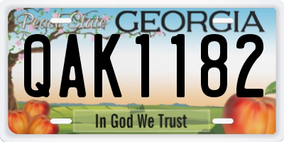 GA license plate QAK1182