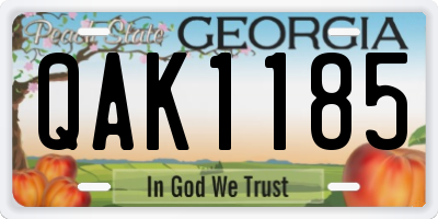 GA license plate QAK1185