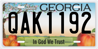 GA license plate QAK1192