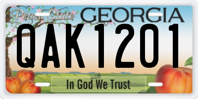 GA license plate QAK1201
