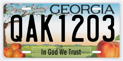 GA license plate QAK1203